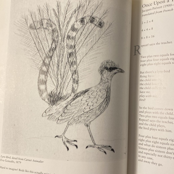 Imaginary Animals: Poetry and Art for Young People Edited by Charles Sullivan - Picture 5 of 13